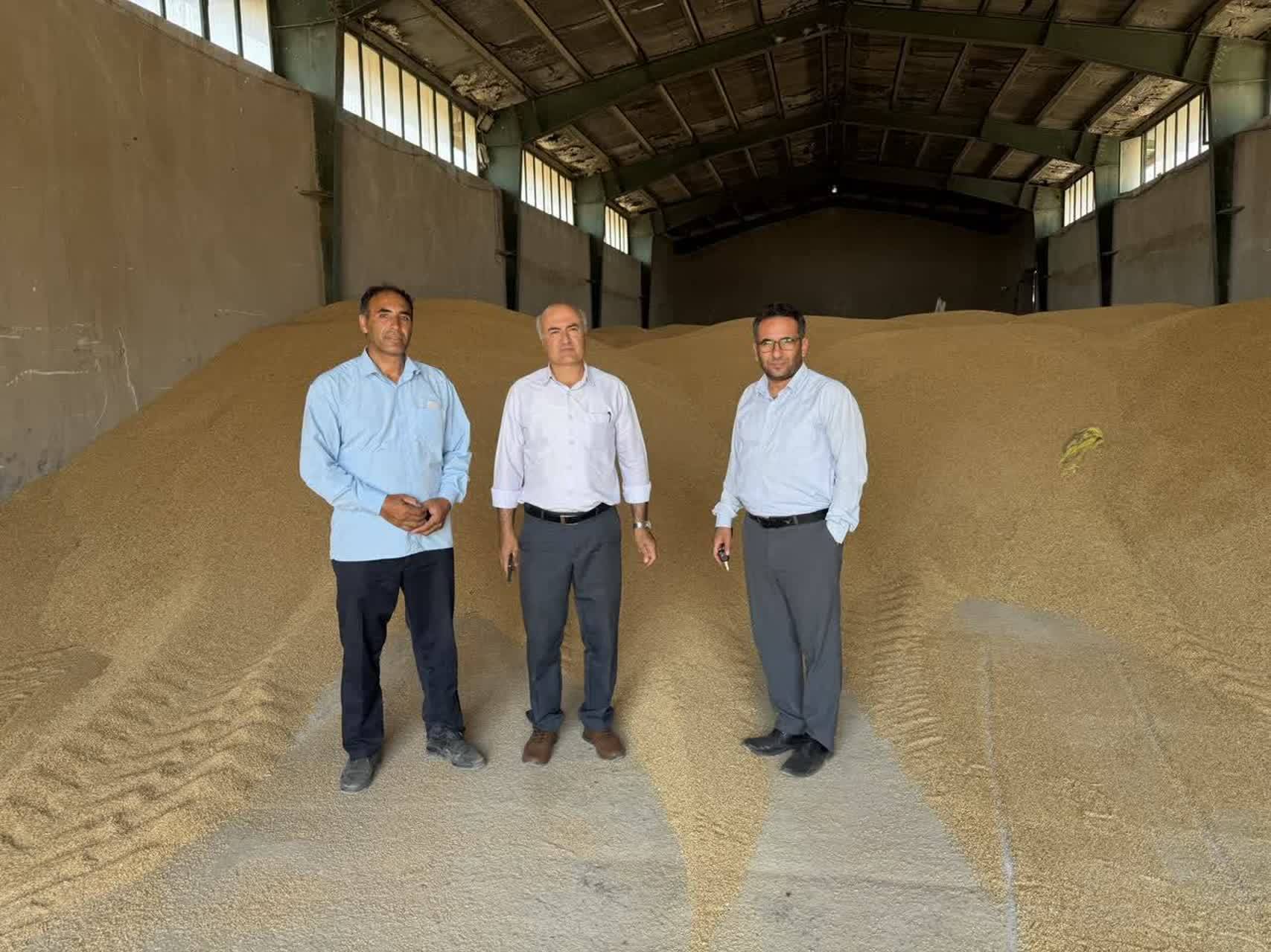 پیام آذری