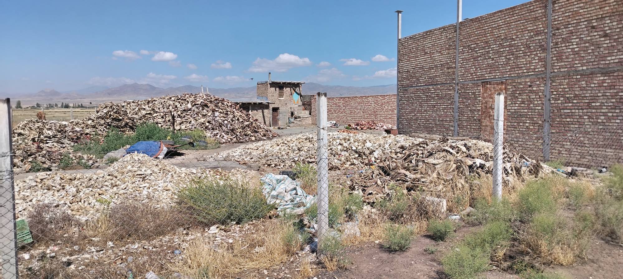 پیام آذری
