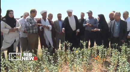برگزاری روز دانه‌های روغنی گلرنگ و نخود دیم در بستان آباد