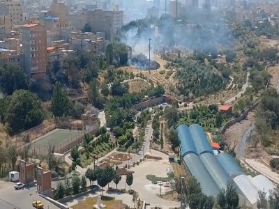 فیلم/ دومین آتش‌سوزی در فضای سبز پارک کلانترباغی