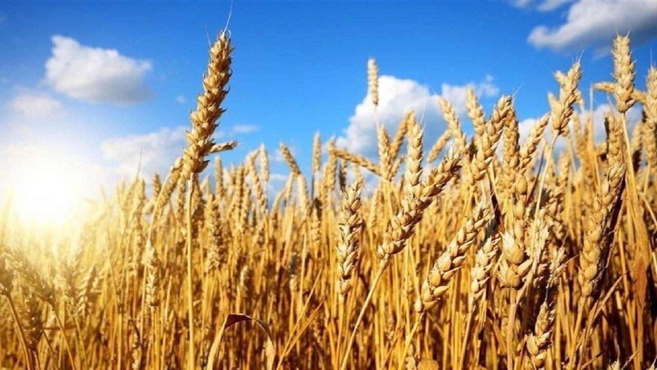 پیام آذری