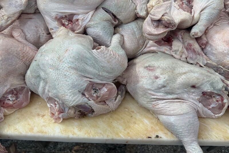 کشف ۱۰ تُن گوشت مرغ غیربهداشتی در آذربایجان شرقی
