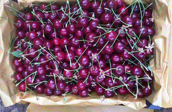 پیام آذری