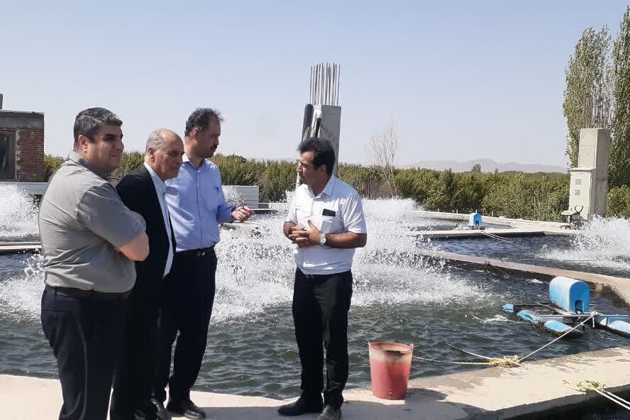 سرانه مصرف آبزیان در آذربایجان شرقی به ۸.۹ کیلوگرم رسید