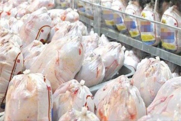 ثبت بیش از ۱۸ میلیون قطعه جوجه‌ریزی در آذربایجان غربی
