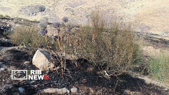 پیام آذری