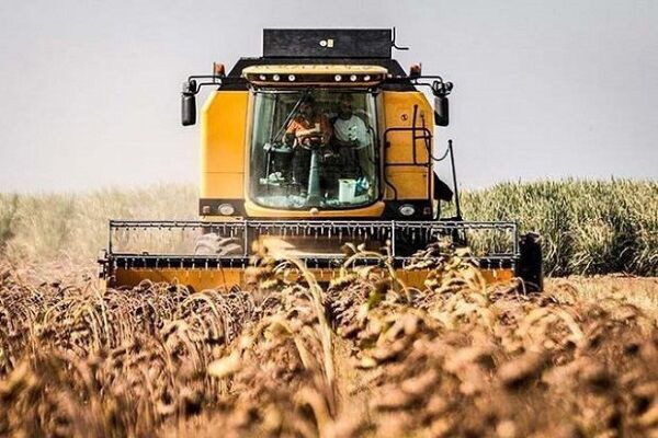 برداشت ۴۵۰ تن آفتاب‌گردان در پارس‌آباد اردبیل