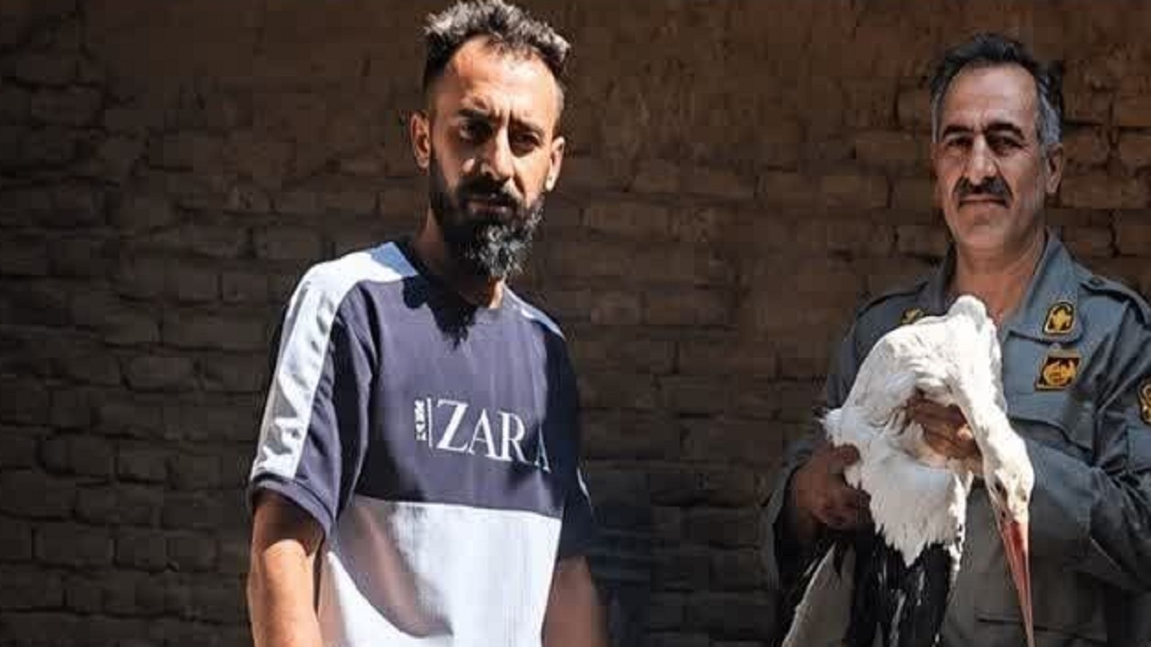 پیام آذری