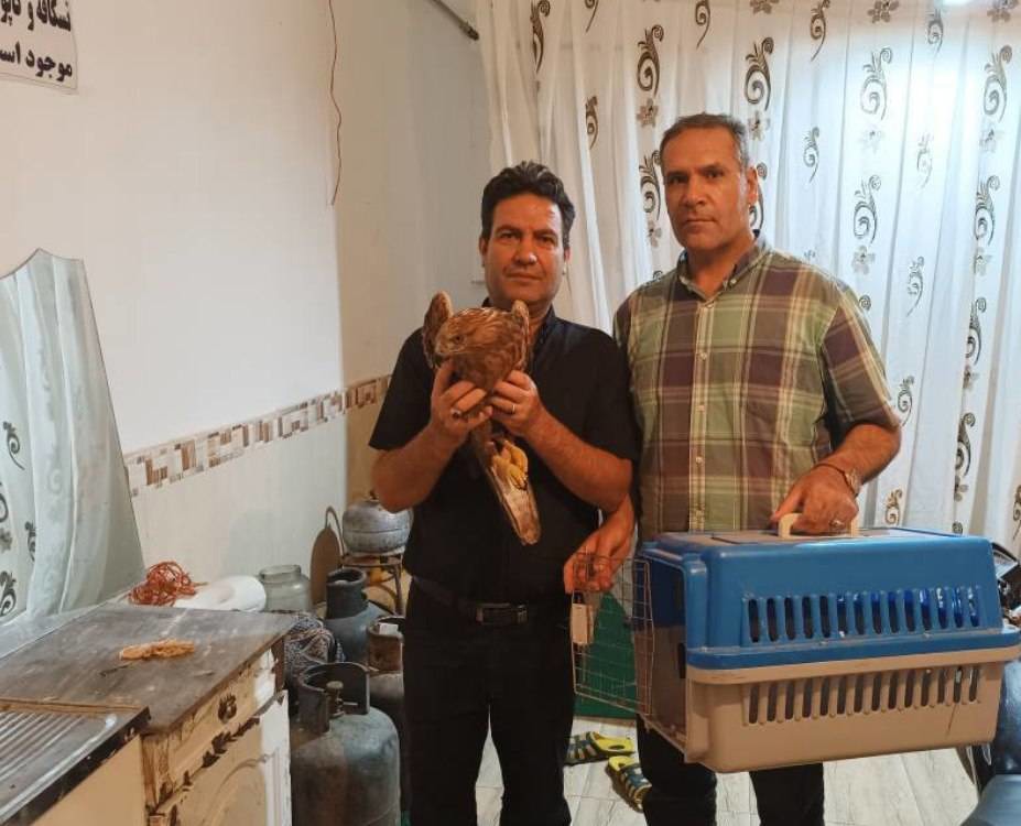 تحویل یک بهله سارگپه به اداره حفاظت محیط زیست شاهین‌دژ