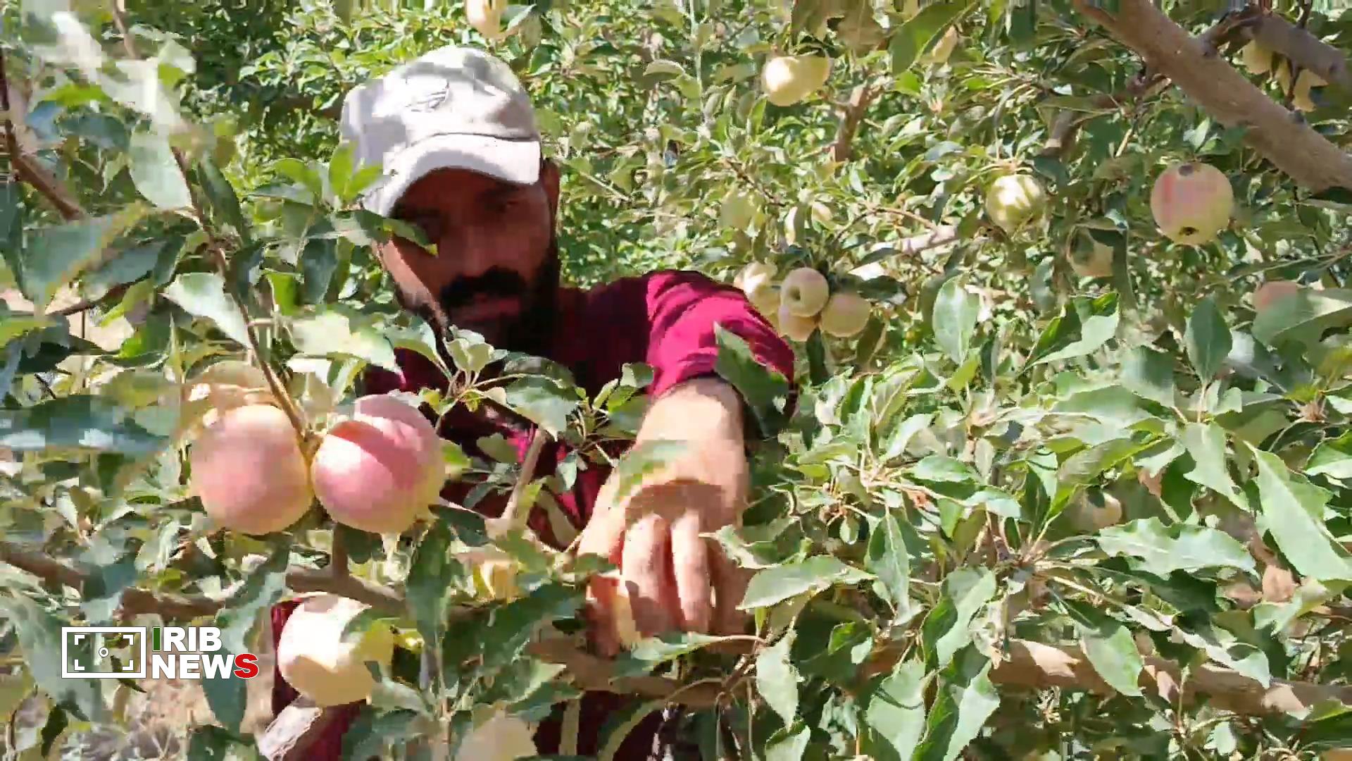 پیام آذری