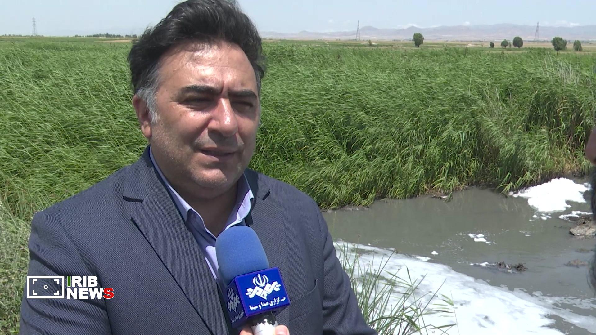 پیام آذری
