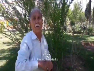 دشمنی ۳ ساله کلاغ با پیرمرد ایرانی! | آخرین خبر