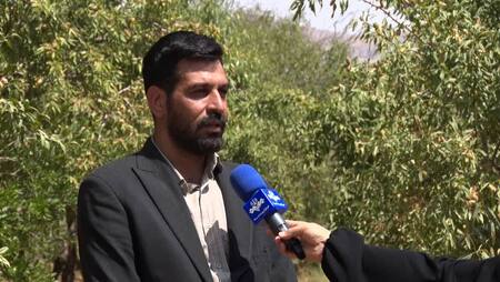 پیام آذری