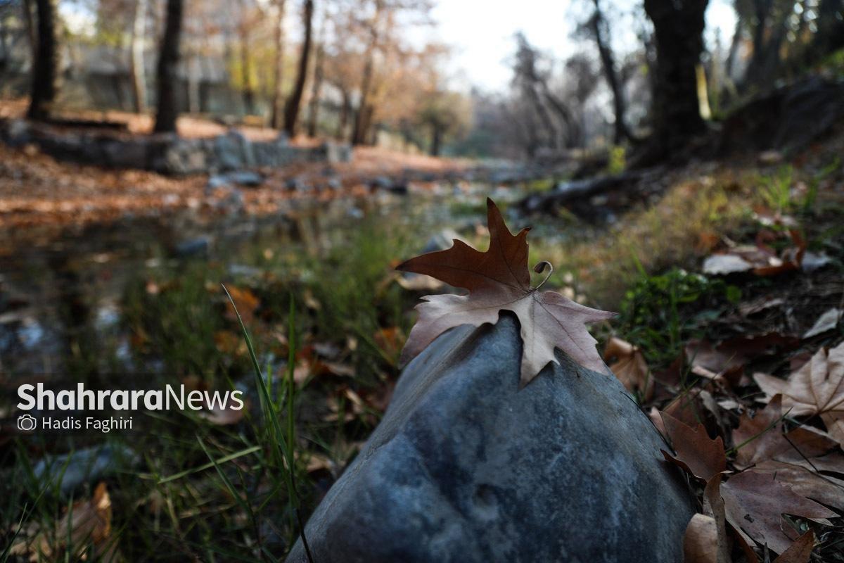 کاهش نسبی دما در خراسان رضوی
