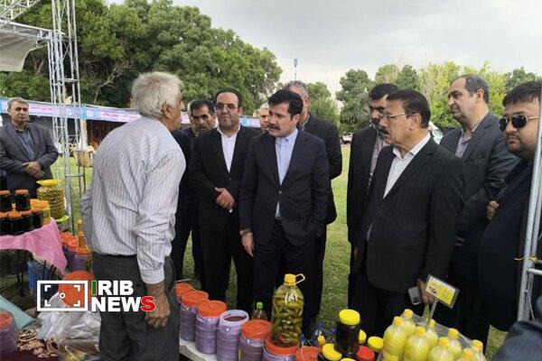 پیشگامی سراب در تولید عسل و فرآورده‌های دامی آذربایجان شرقی