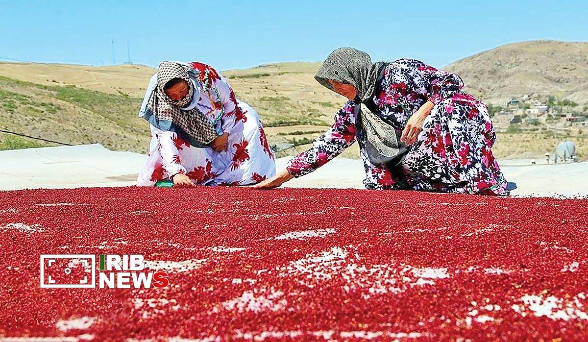 پیام آذری