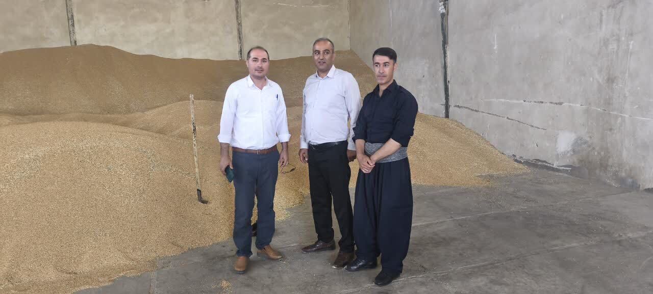 پیام آذری