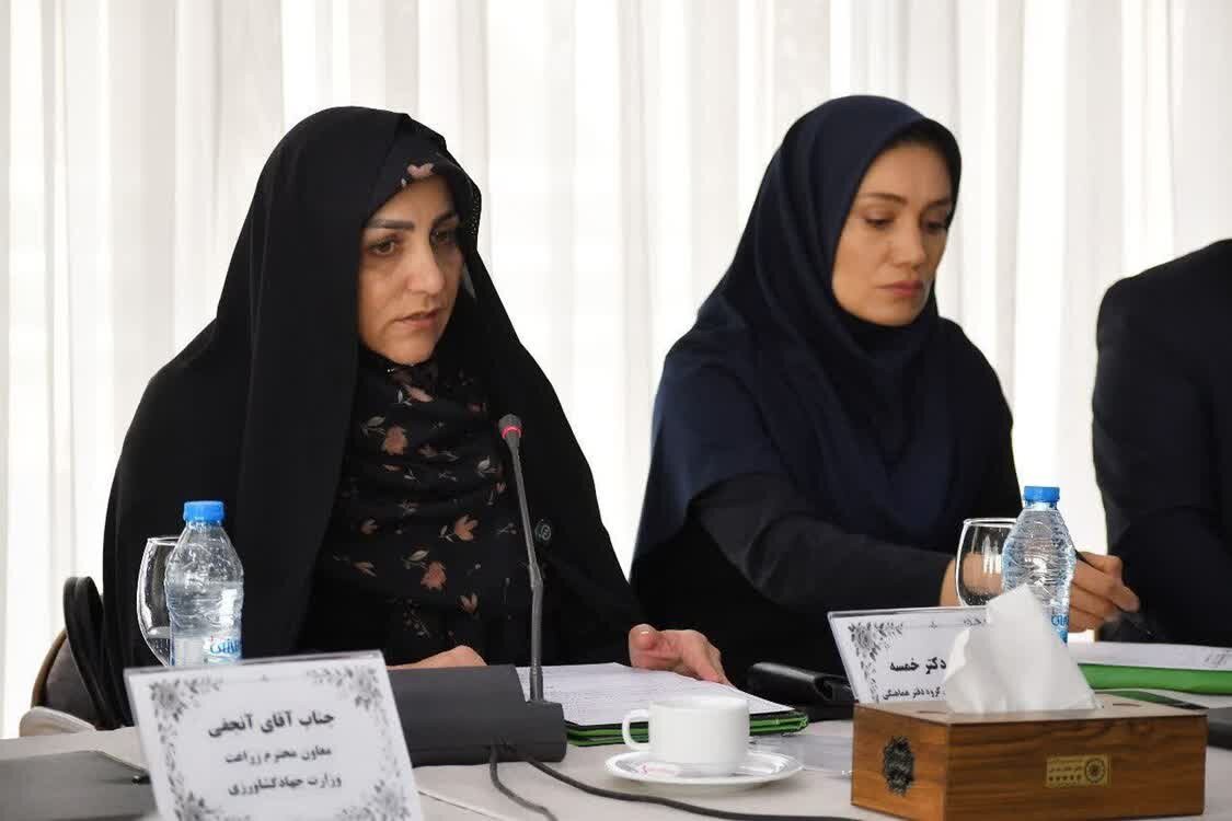 خمسه: مطالبات گندمکاران تا پایان شهریور پرداخت می‌شود