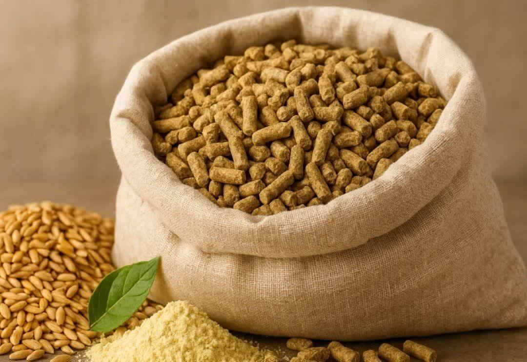 پیام آذری