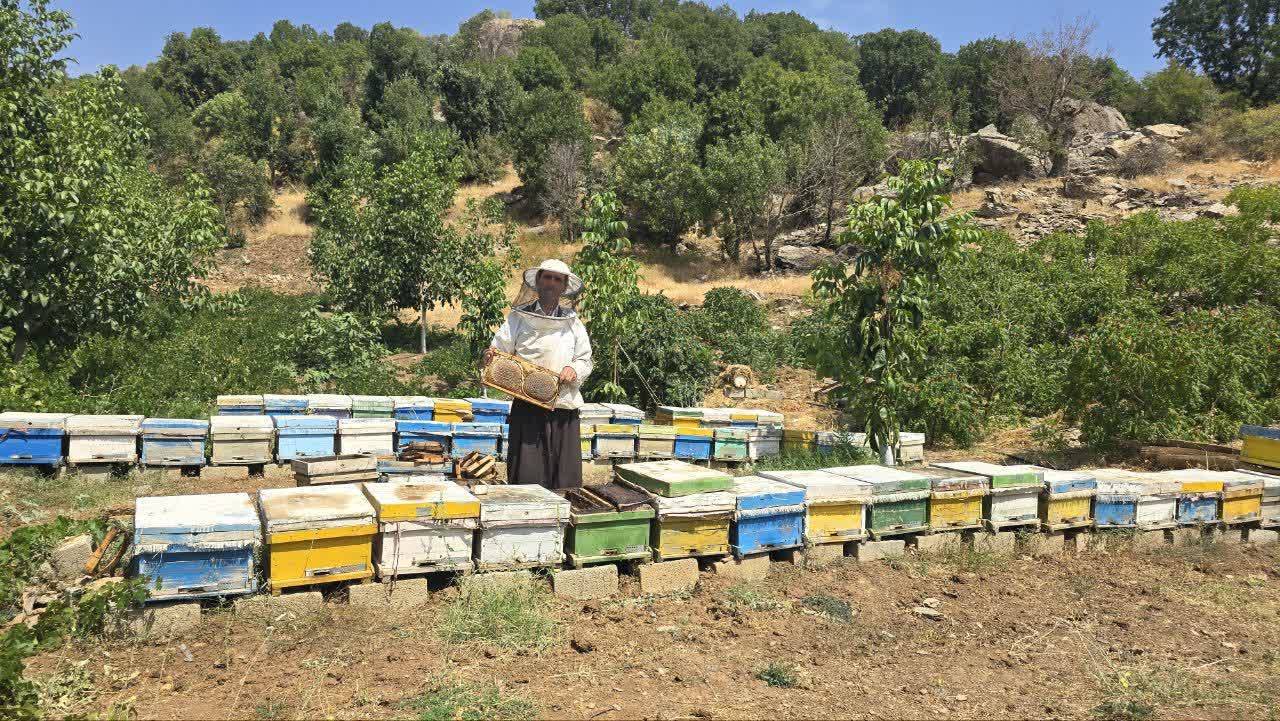 پیام آذری