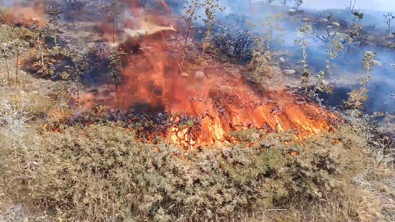 آتش زدن مراتع بلای جان طبیعت در مراغه