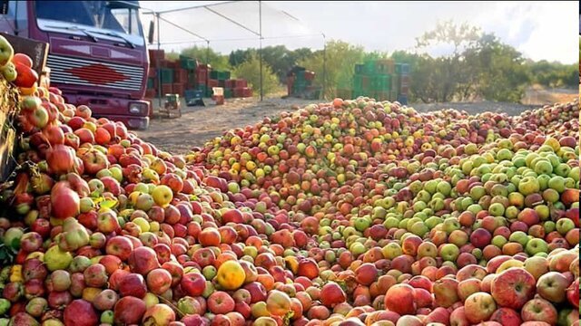 پیام آذری