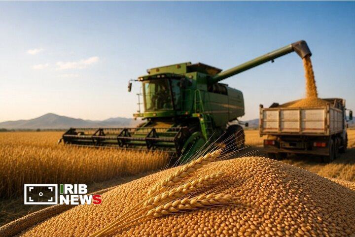خرید ۳۷۵ هزار و ۷۶۶ تُن گندم در آذربایجان‌شرقی