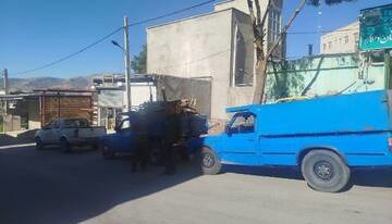 کشف ۴ تن چوب بید غیرمجاز در دالاهو