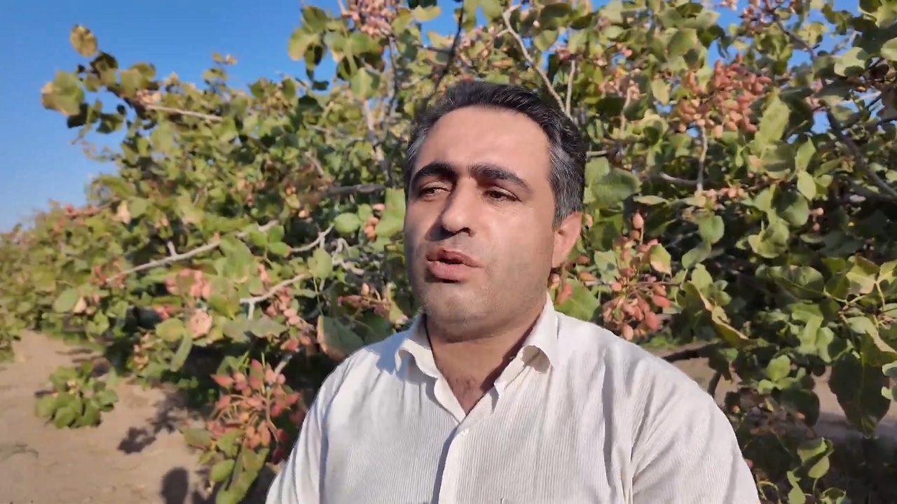 پیام آذری