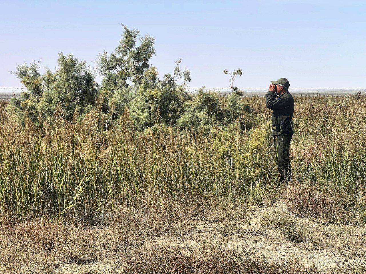 پیام آذری