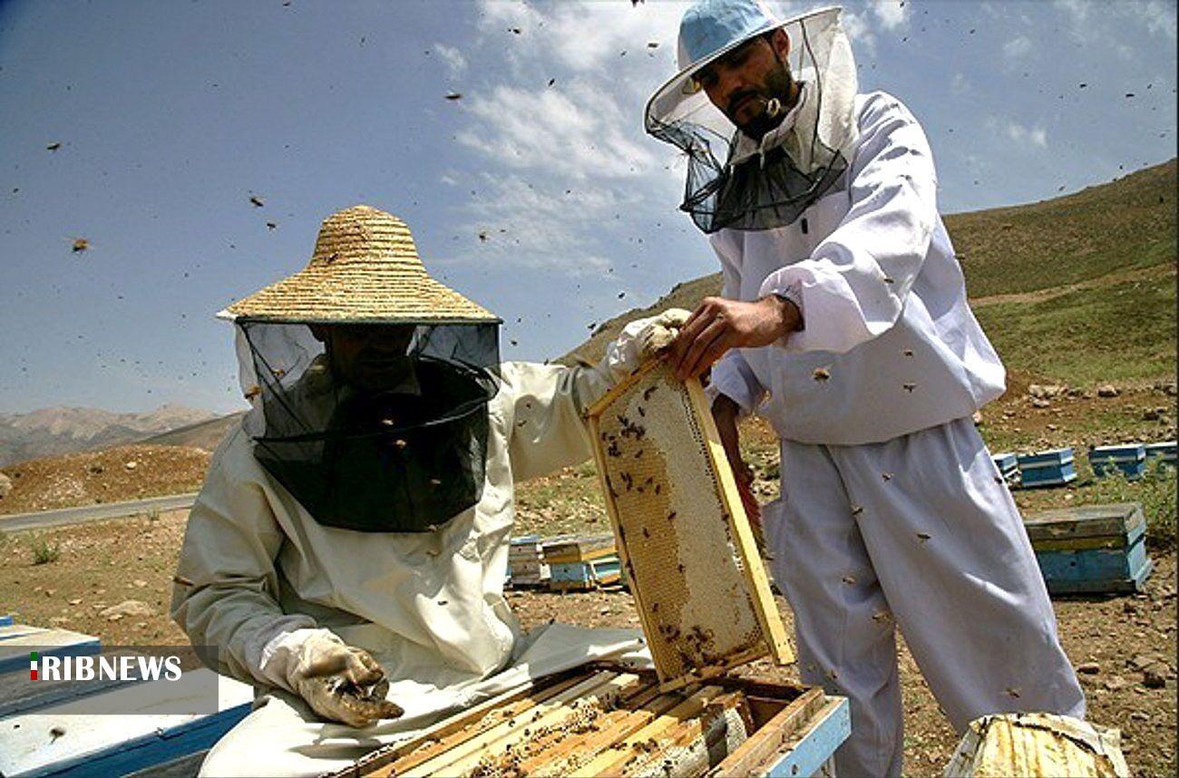 پیام آذری
