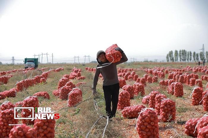 پیام آذری