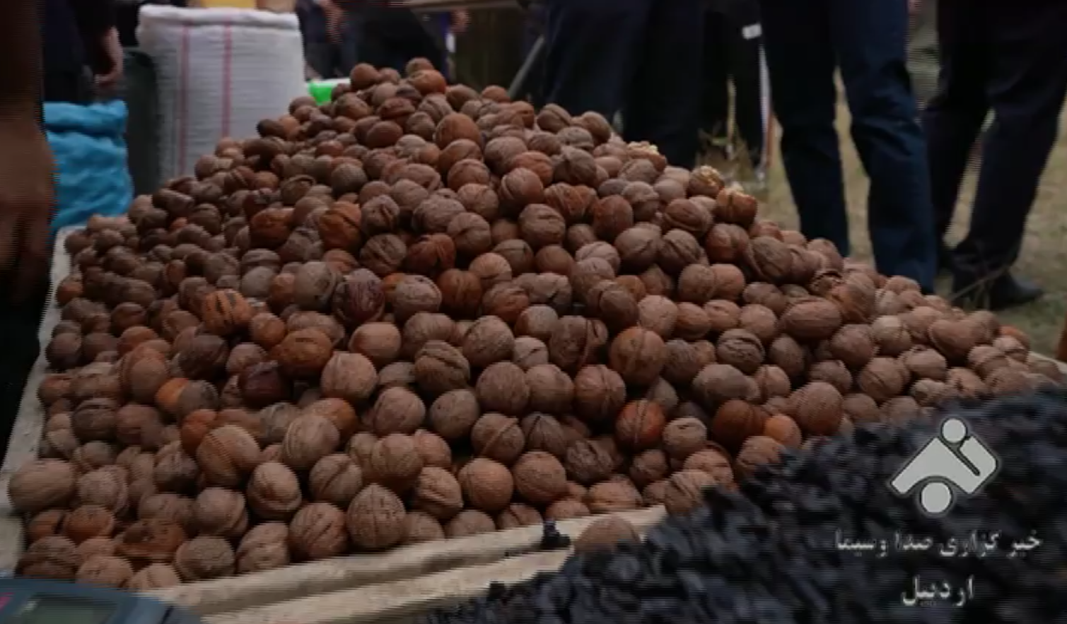پیام آذری