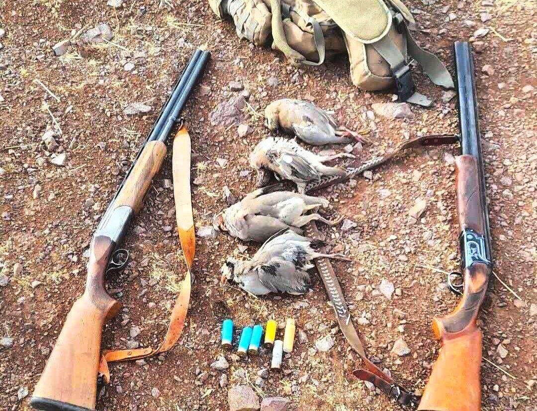 شکارچیان متخلف پرندگان وحشی در کنگاور شناسایی شدند