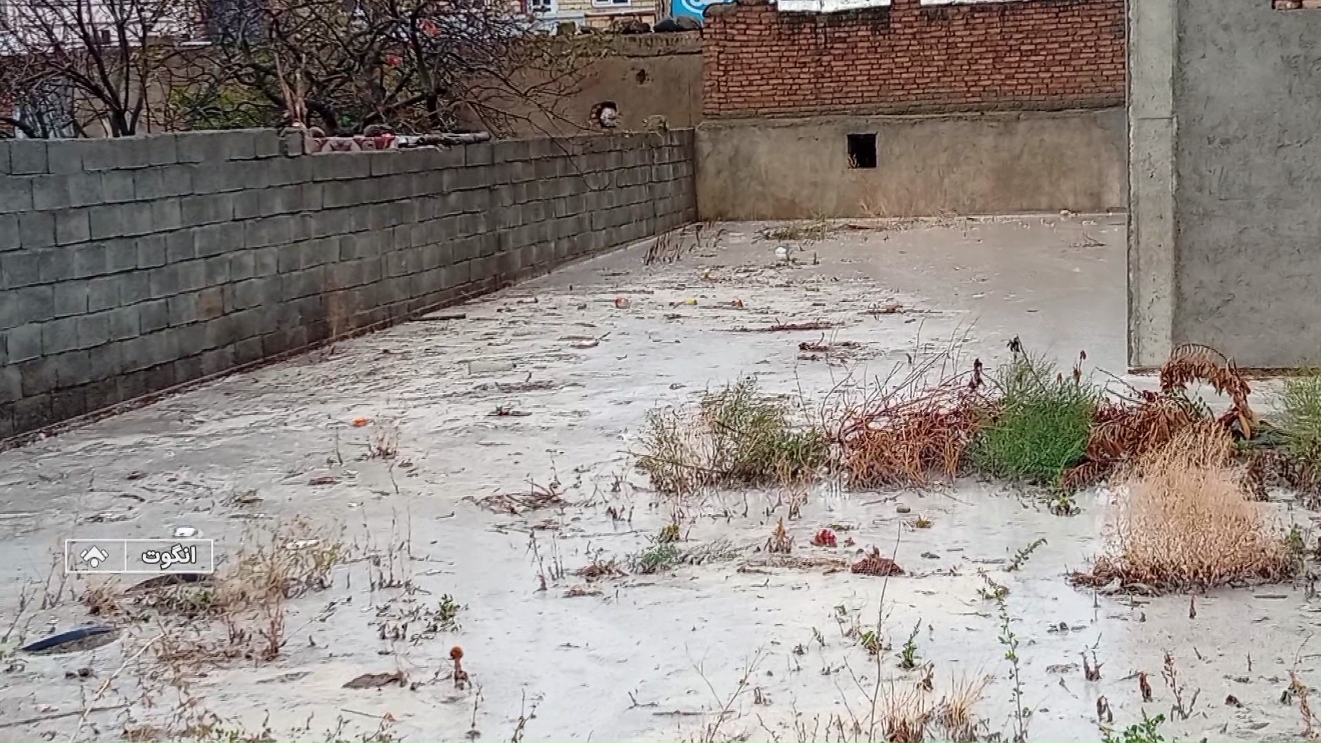 پیام آذری