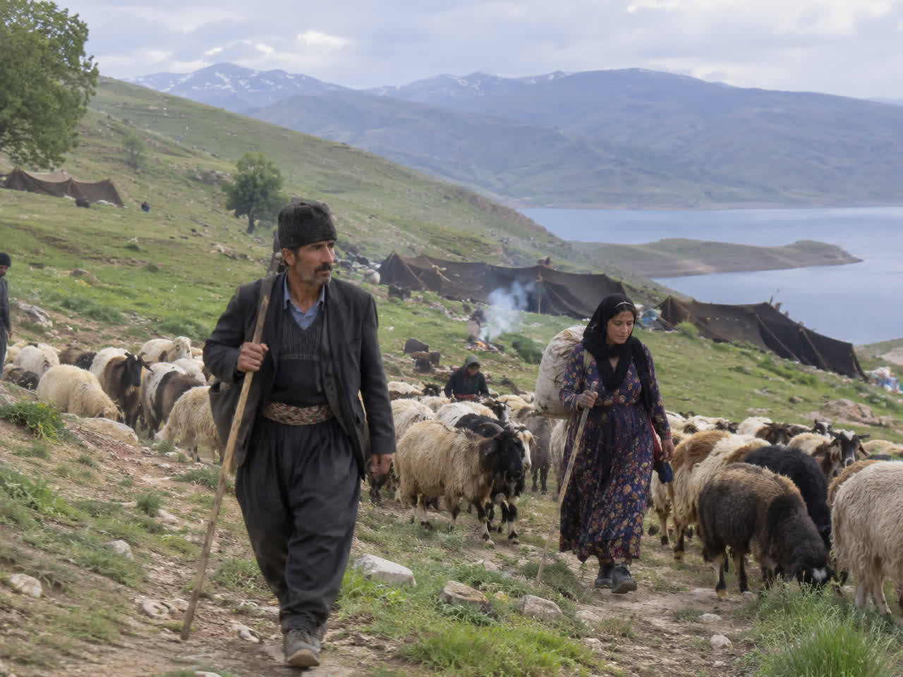 پیام آذری