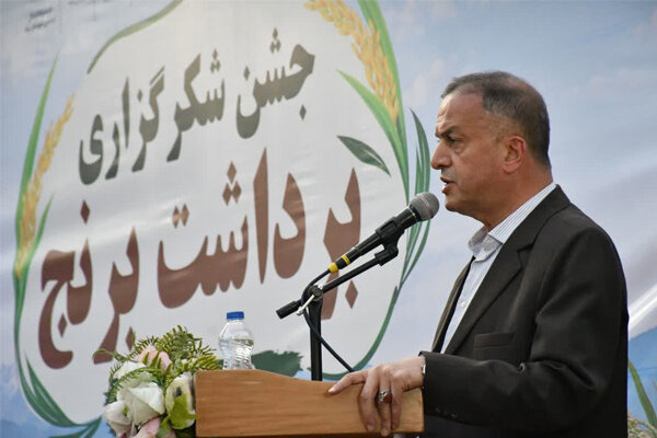 مشایخی: کشاورزی محور سند توسعه میانه است