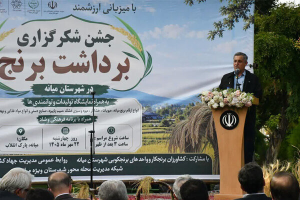 کشت برنج در ۸ هزار هکتار شالیزار آذربایجان‌شرقی
