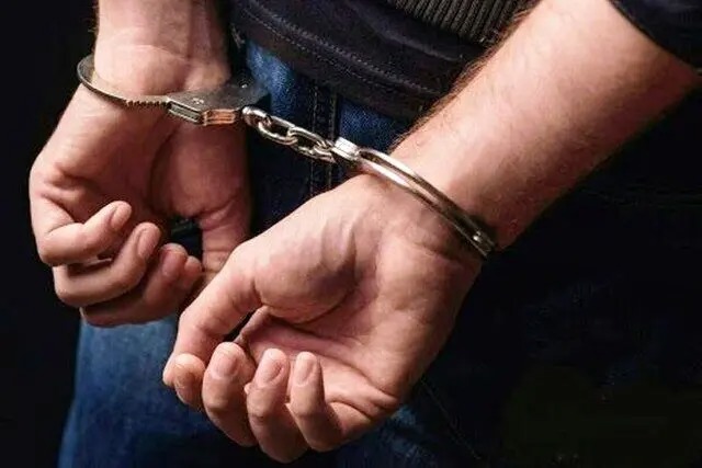 دستگیری متهم متواری مخل نظام ارزی کشور؛ بیش از ۵۱ میلیون یورو عدم رفع تعهد ارزی متهم