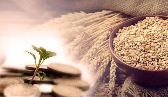 زکات پرداختی آذربایجان‌غربی ۳۷ درصد رشد کرد؛ جمع‌آوری ۱۷۴ میلیارد تومان