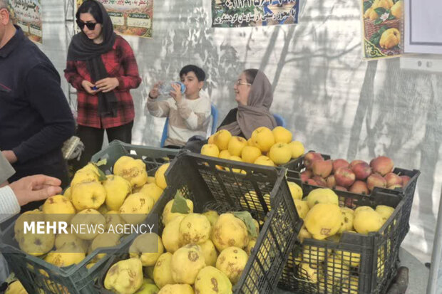 پیام آذری