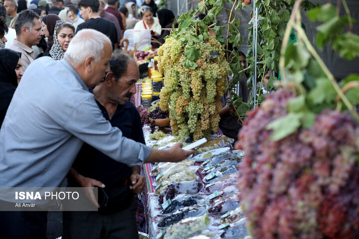جشنواره انگور ارومیه در تقویم رویدادهای گردشگری ایران ثبت شد