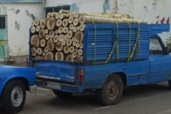 کشف بیش از ۱۵ تن چوب قاچاق در تبریز