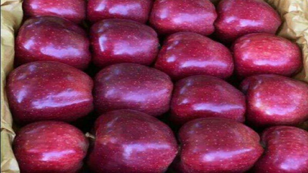 پیام آذری