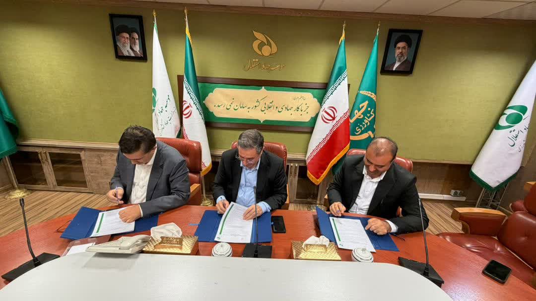 میاندوآب خاستگاه نهال‌های استاندارد و کم‌آب‌بر کشور می‌شود