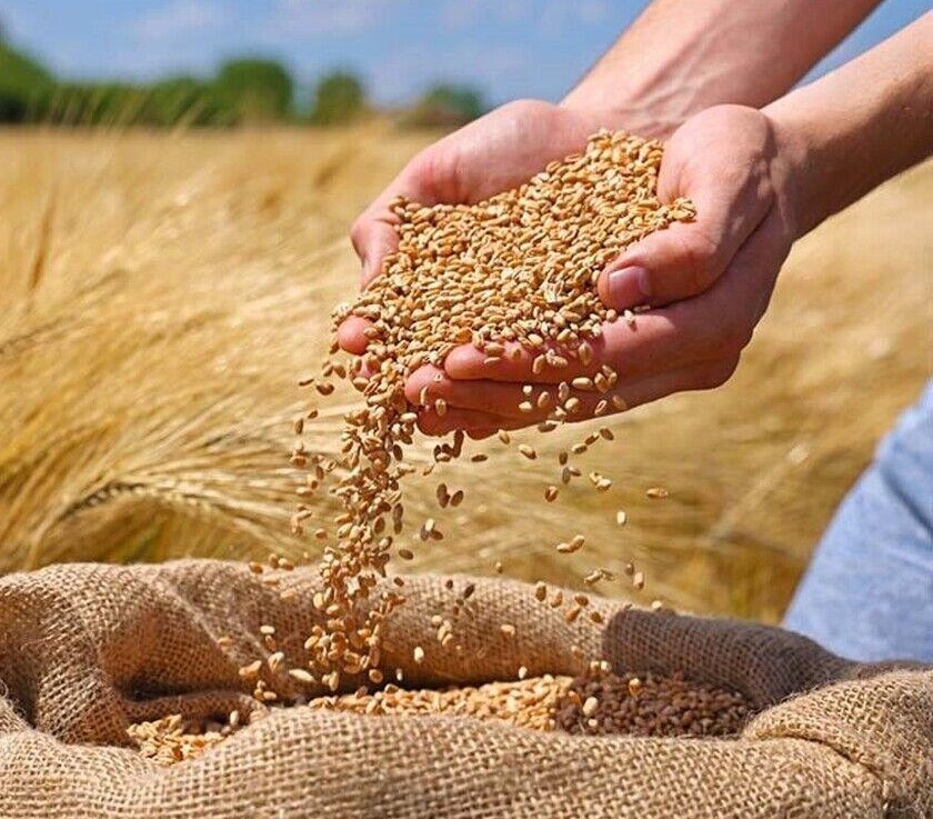پیام آذری