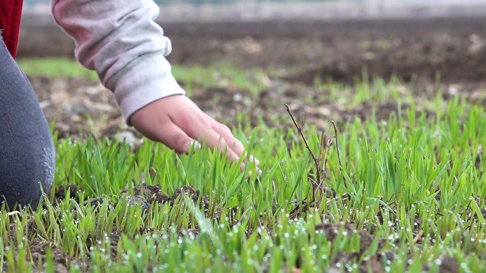 پیام آذری